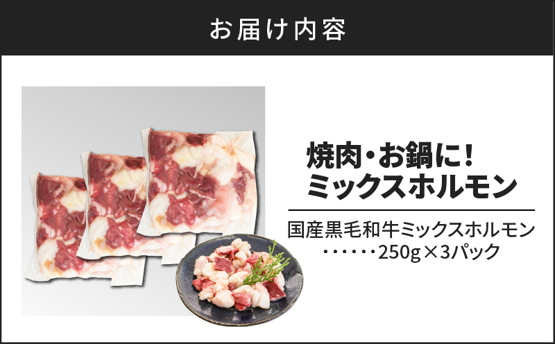 焼肉・お鍋に！ミックスホルモン750g（250g×3パック）　K002-005_01