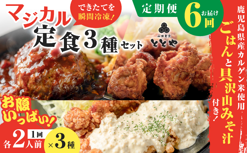 ãå
š6åå®æäŸ¿ãããžã«ã«å·åå®é£äžçš®ã»ãããK258-T04_b