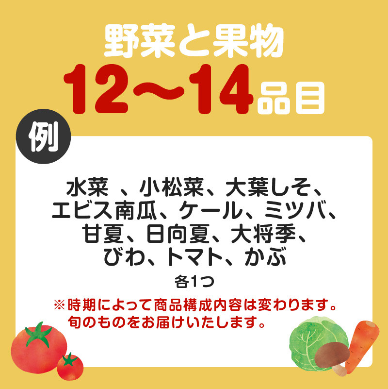 【JA直売所セレクト】12ヵ月定期便！旬鮮野菜・果物セット（12〜14品目）　K072-T02