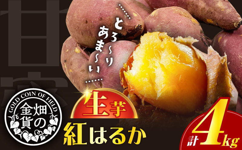 畑の金貨 生芋 紅はるか4kg　K181-006