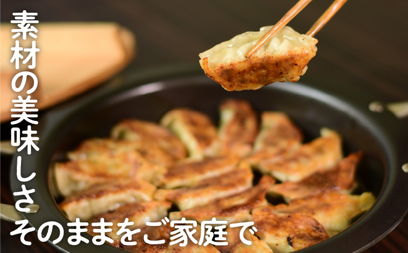 【第1回 日本全国！ご当地冷凍食品大賞 2024-2025 優秀賞受賞！】鹿児島黒豚100%餃子 64個入り　K027-009