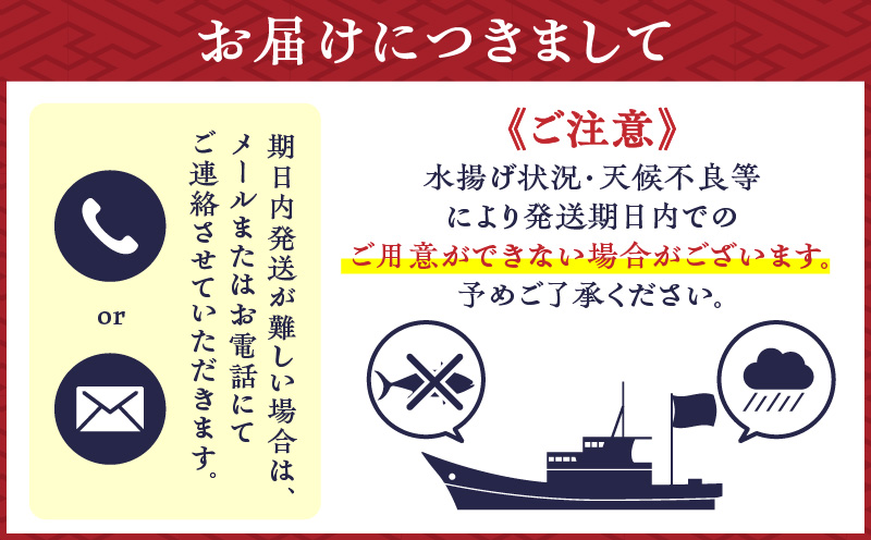 鹿児島産 タカエビ600g 6人前　K100-011