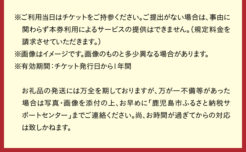 【昼間遊覧飛行】鹿児島満喫コース（桜島＋鹿児島市内） セスナ式172型（大人3名まで）　K222-FT003