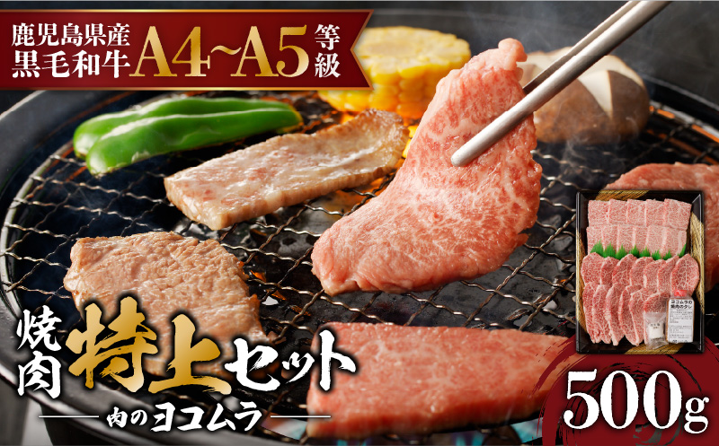 【鹿児島黒毛和牛A4〜A5】焼肉特上セット（特上カルビ/特上ロース）　K189-007