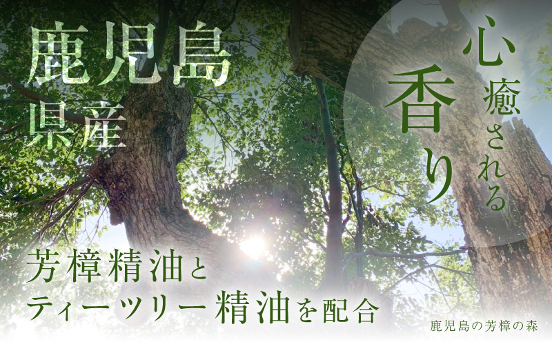 ãã£ã«ããŒã¹ã¯ãªãŒã ãç¥ãããK393-001ãæ ªåŒäŒç€Ÿãã£ã«ããŒã¹ã