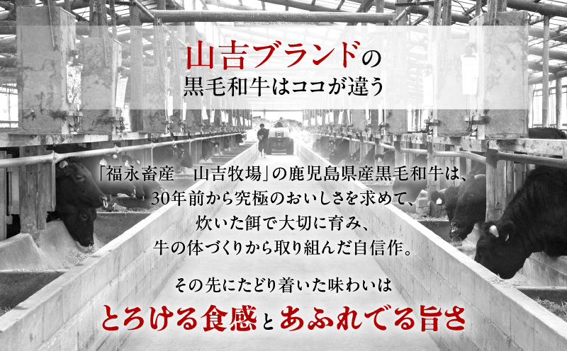 福永畜産 山吉牧場 鹿児島県産黒毛和牛・鹿児島県産黒豚 肩ロース しゃぶしゃぶ用詰合せ　K326-007