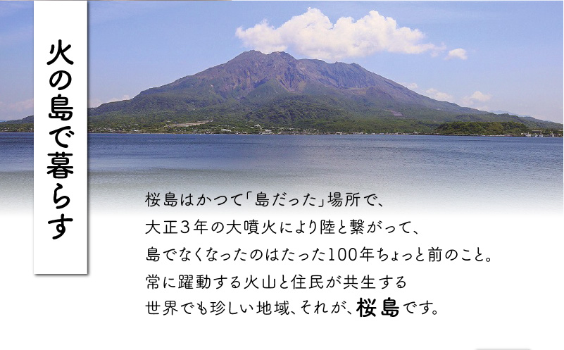 桜島の生搾り椿油ピュアプレミアム60ml　K062-022