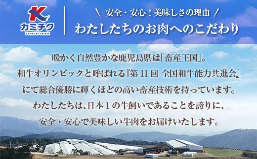 縲先悄髢馴剞螳壹代占ィウ縺ゅj縲鷹ケソ蜈仙ウカ逵檎肇鮟呈ッ帛柱迚 繧ソ繝ャ貍ャ縺醍央縺薙∪蛻繧 600g縲K002-053_06