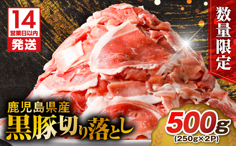 【14営業日以内に発送】【数量限定】鹿児島県産 黒豚切り落とし 500g　K025-001_01