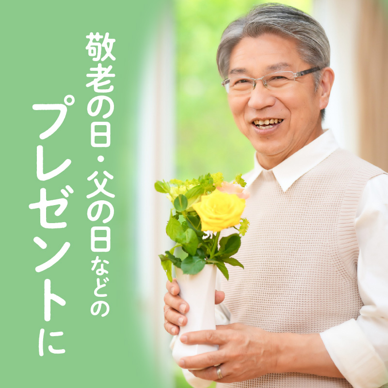 ネックフィット枕43×63cm ホワイト　K018-002_01