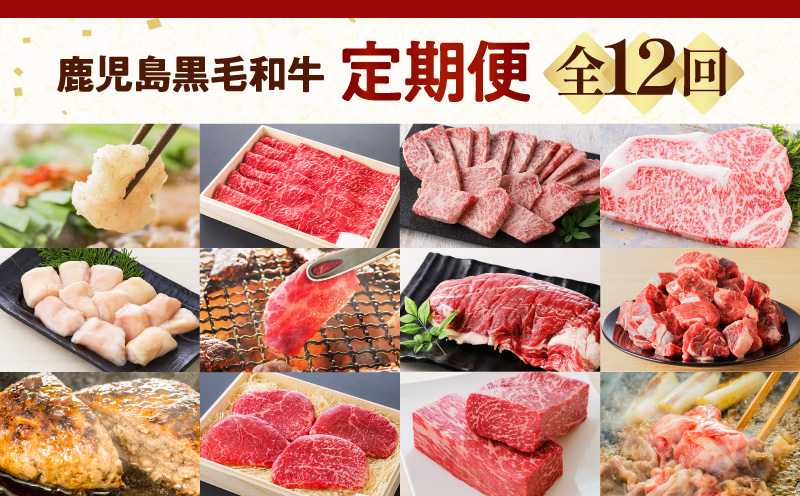 【全12回】鹿児島黒毛和牛定期便　K130-T01