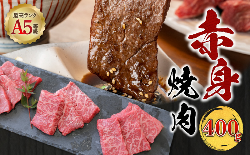 ＜お試し＞A5等級 鹿児島県産 黒毛和牛 赤身 焼肉 400g　K002-051_04