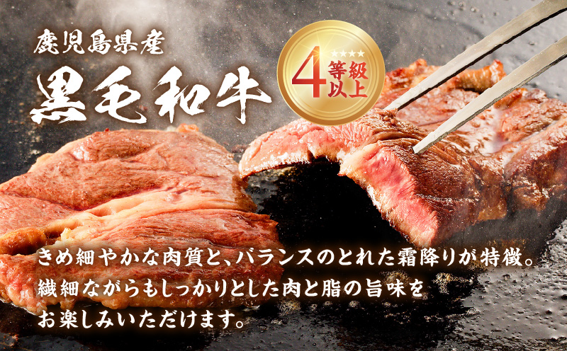 鮖ソ蜈仙ウカ逵檎肇 鮟呈ッ帛柱迚帙せ繝繝シ繧ュ 600g縲K151-010_01