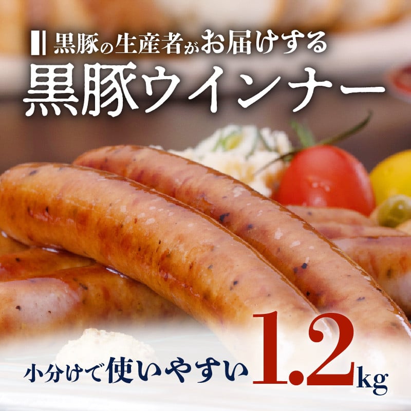 種豚場がお届けする鹿児島伝統の黒豚　黒胡椒の効いた黒豚ウインナー　K125-002