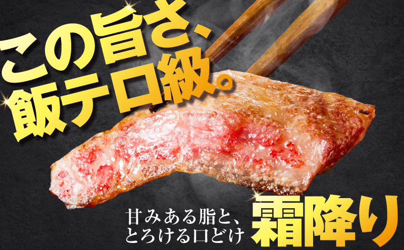 北さつま牛サーロインステーキ　K137-004