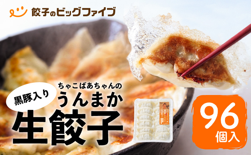 ちゃこばあちゃんの黒豚入りうんまか生餃子 96個入り　K027-002