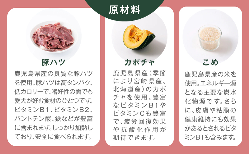ãå
š3åå®æäŸ¿ãBuddy FOOD ãã«ã¹ã±ã¢ãã©ã¹ äœè質ããã»ã±ã¢Ã6ããã¯ãK390-T09_a