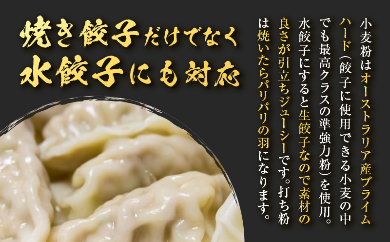 鹿児島うんまか豚生餃子4パック（餃子48個入り・タレ付）　K005-003_01