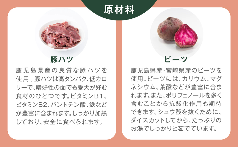 Buddy FOOD 06 雎壹ワ繝テ6繝代ャ繧ッ縲K390-001_06