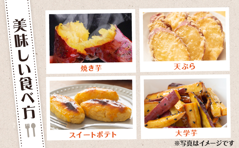 畑の金貨 生芋 紅はるか4kg　K181-006