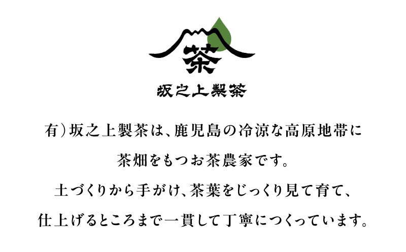 直木みどり（麗）　K388-003【有限会社坂之上製茶】