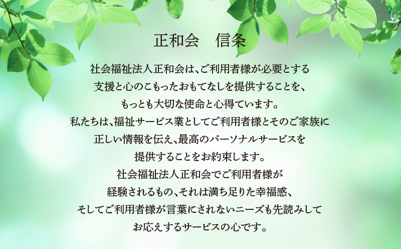【7営業日以内に発送】ひったまげたんは 5パックセット　K368-001