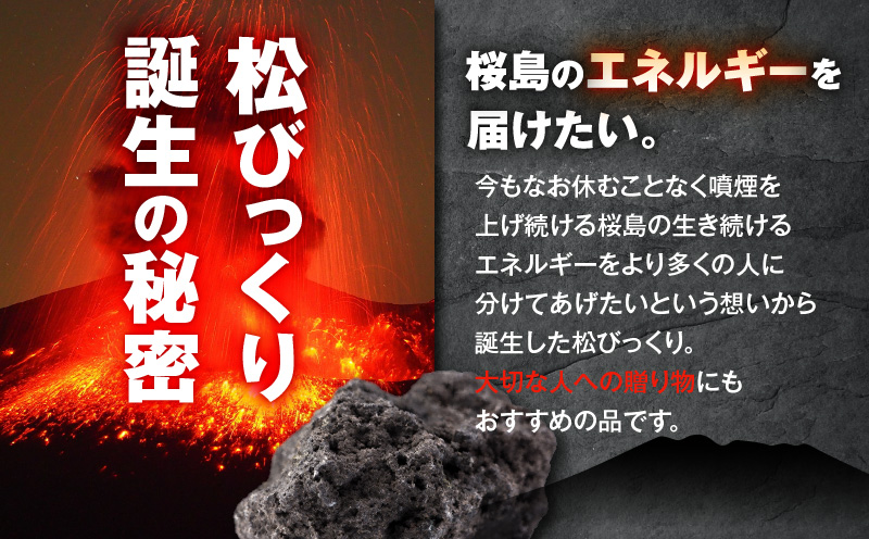 火山の贈り物 ミニ観葉植物『松びっくり』 溶岩土台松ぼっくり苔植物　K089-001