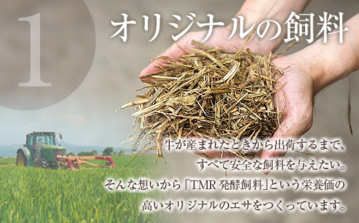 縲先悄髢馴剞螳壹代占ィウ縺ゅj縲鷹ケソ蜈仙ウカ逵檎肇鮟呈ッ帛柱迚 繧ソ繝ャ貍ャ縺醍央縺薙∪蛻繧 600g縲K002-053_06