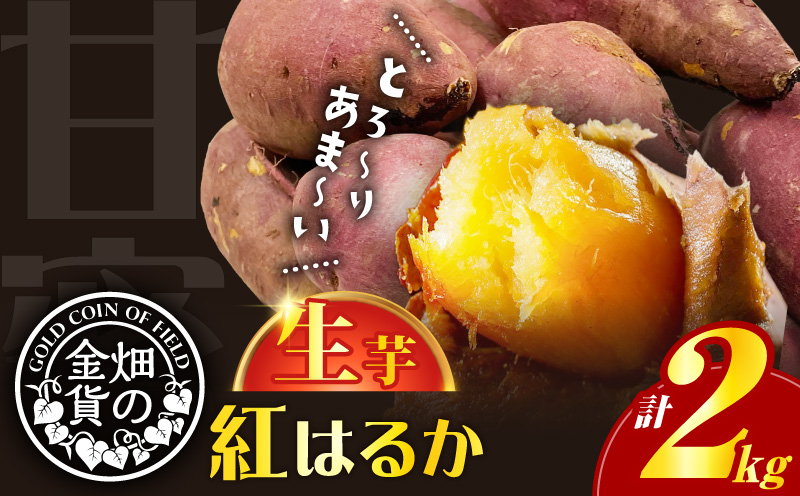 畑の金貨 生芋 紅はるか2kg　K181-004