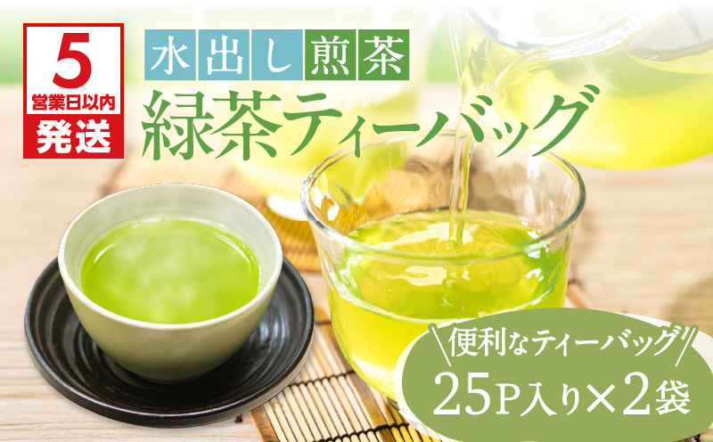 【5営業日以内に発送】【期間限定】水出し煎茶 緑茶ティーバッグ 2袋　K111-039_01