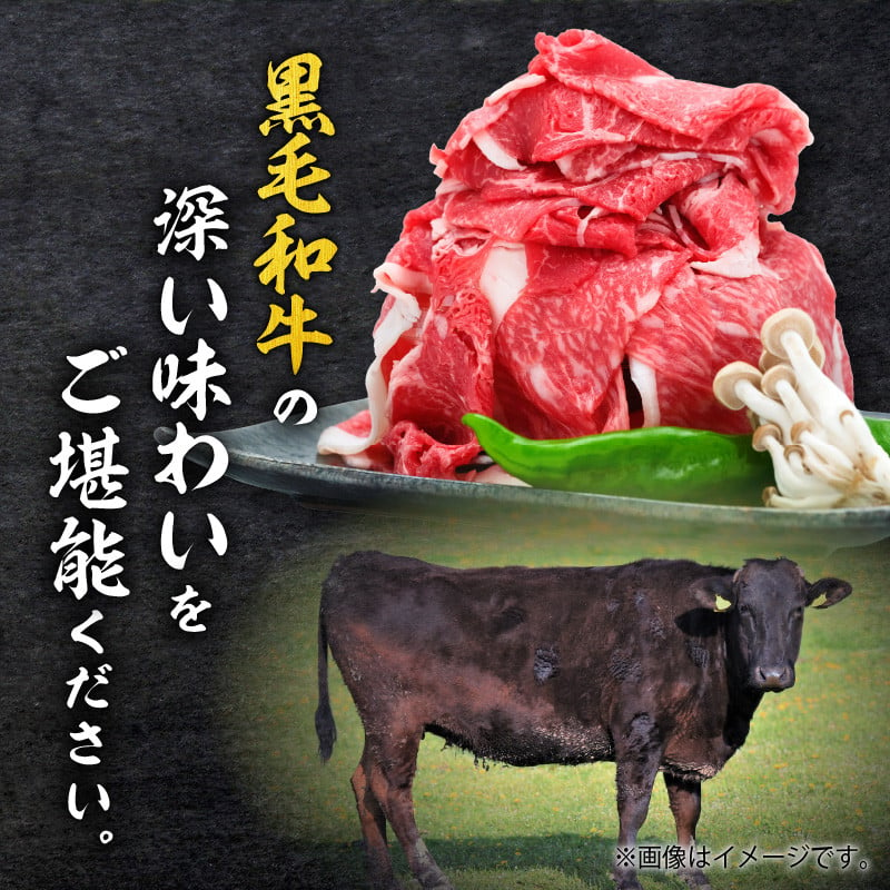 鹿児島県産黒毛和牛5等級切落し500ｇ　K086-031