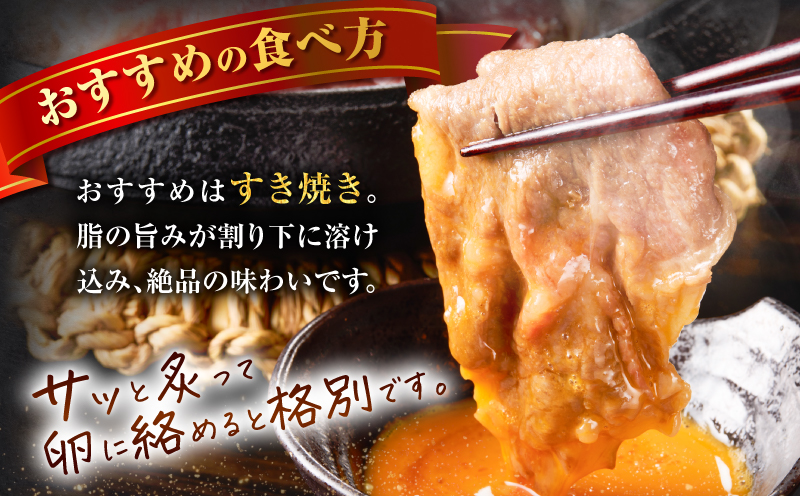 蛹励&縺、縺セ迚帙Ο繝シ繧ケ繧ケ繝ゥ繧、繧ケ縲K137-005