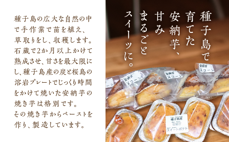遞ョ蟄仙ウカ逕」螳臥エ崎葛繧ケ繧ウ繝シ繝ウシ繧ケ繧、繝シ繝医昴ユ繝医そ繝繝医K366-002