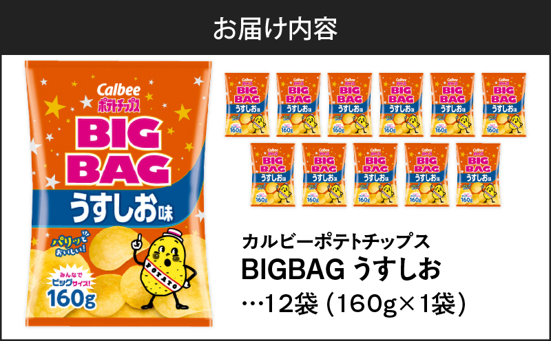 カルビー ポテトチップス BIGBAG【うすしお】12袋　K194-002_04