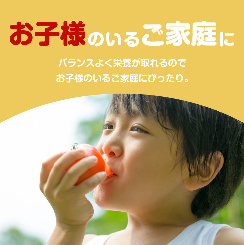 【JA直売所セレクト】6ヵ月定期便！旬鮮野菜・果物セット（12〜14品目）　K072-T01