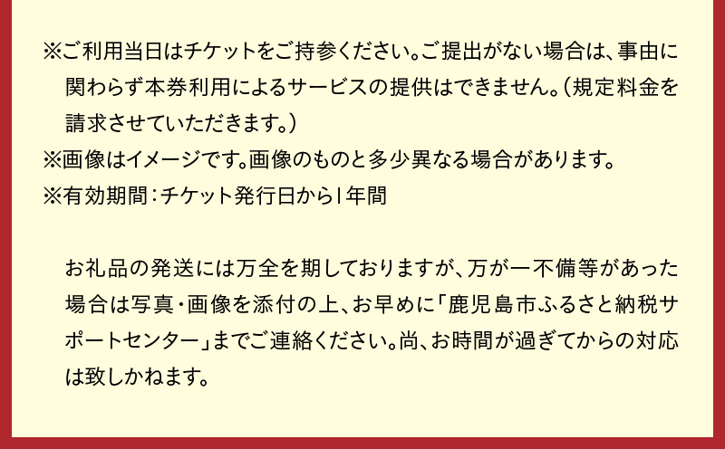 【昼間遊覧飛行】鹿児島市内コース　ブリテンノーマン式BN2B型（大人9名まで）　K222-FT007