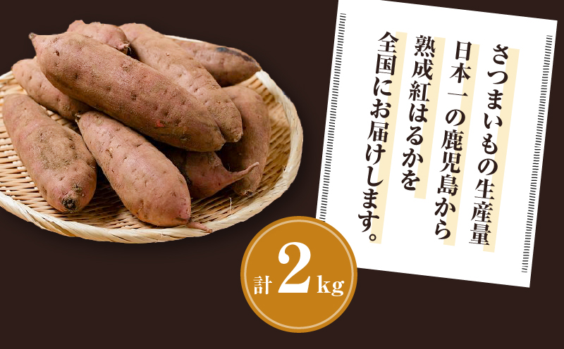 畑の金貨 生芋 紅はるか2kg　K181-004