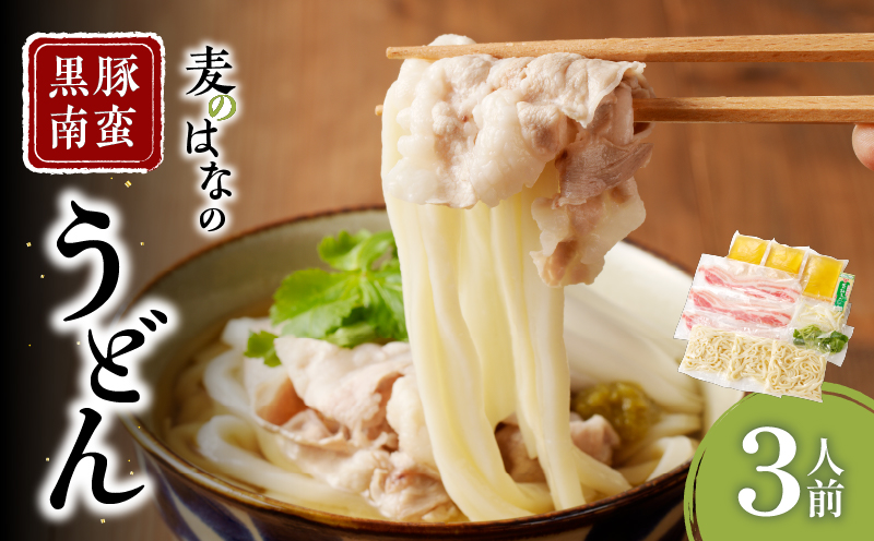 麦のはなの黒豚南蛮うどん【3人前】　K071-002