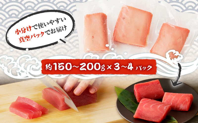 鹿児島産 天然 キハダマグロ 柵 約500g　K100-005