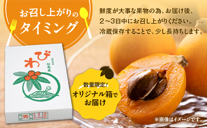 旬の朝採り！ 鹿児島 桜島産びわ 2箱（秀品）　K343-001_02