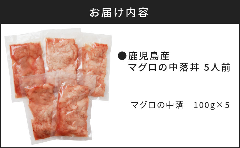 鹿児島産マグロの中落丼 5人前　K100-004