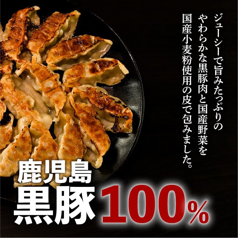 鹿児島黒豚100％餃子　48個入り　K027-008