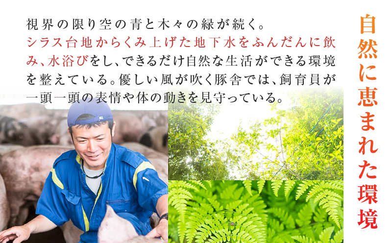 鮖ソ蜈仙ウカ縺繧薙∪縺玖ア夂函鬢蟄9繝代ャ繧ッシ磯、蟄108蛟句・繧翫サ繧ソ繝ャ莉假シ峨K005-003_02