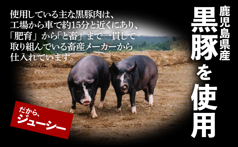 【第1回 日本全国！ご当地冷凍食品大賞 2024-2025 優秀賞受賞！】鹿児島黒豚100%餃子 64個入り　K027-009