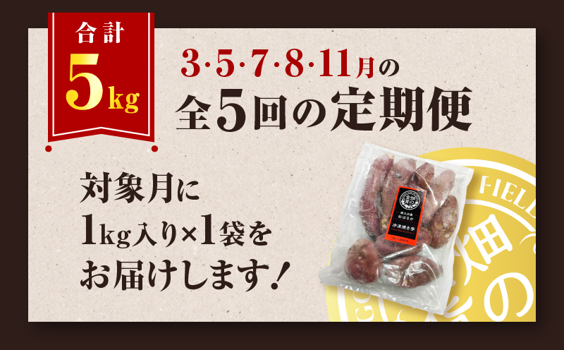 【全5回】【畑の金貨】焼き芋紅はるか3kg 定期便　K181-T02