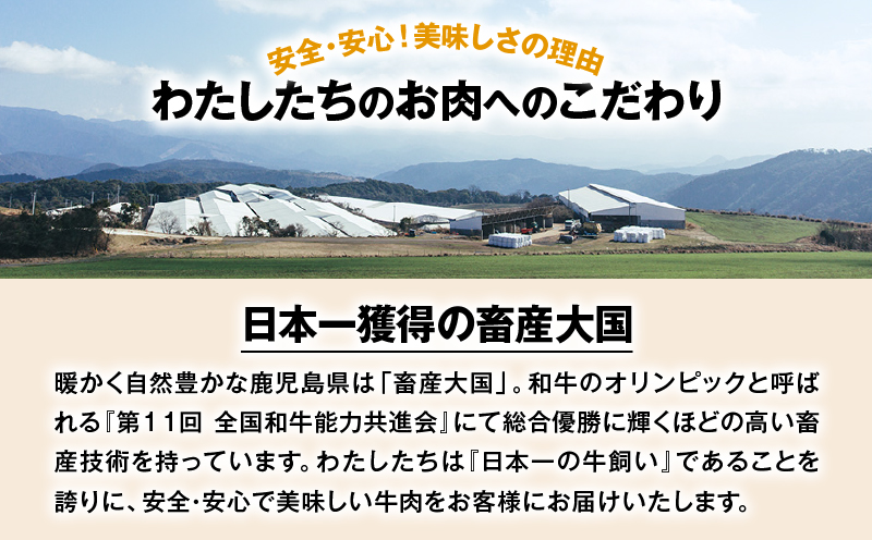 鹿児島県産豚バラスライス 1.5kg（250g×6P）　K002-033