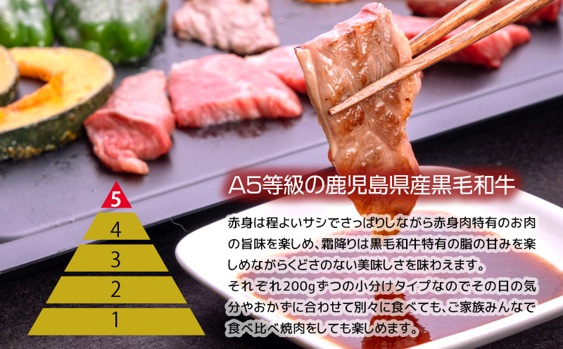 A5等級黒毛和牛食べ比べ焼肉セット　K208-008