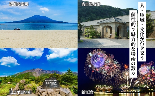 鹿児島県 鹿児島市 旅行クーポン 300,000円分 温泉 九州 桜島 観光 旅行 ホテル 旅館 老舗 高級 トラベル チケット 家族 カップル 宿泊 予約 おすすめ 父の日 母の日 旅行券 宿泊券　K350-001_30