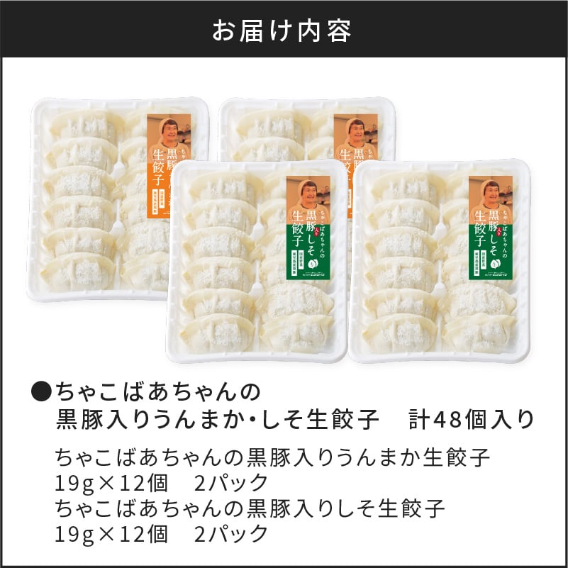 ちゃこばあちゃんの黒豚入りうんまか・しそ生餃子　計48個入り　K027-004