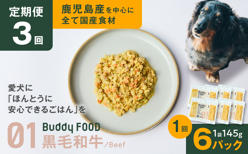 【全3回定期便】Buddy FOOD 01 黒毛和牛×6パック　K390-T01_a